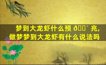 梦到大龙虾什么预 🌴 兆,做梦梦到大龙虾有什么说法吗